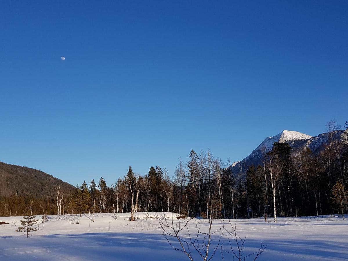 Apartamento Zirbenstüberl - Chiemgau Karte Inzell Exterior foto