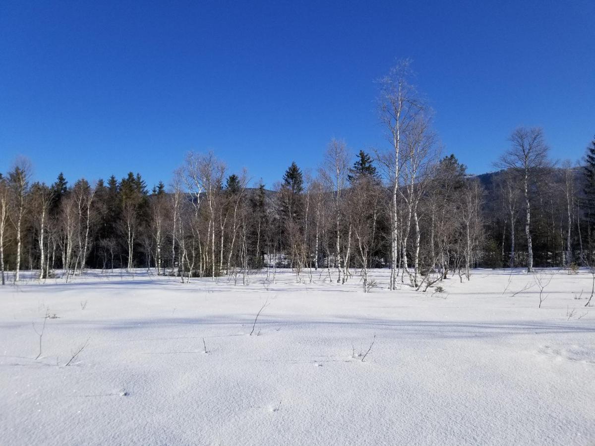 Apartamento Zirbenstüberl - Chiemgau Karte Inzell Exterior foto